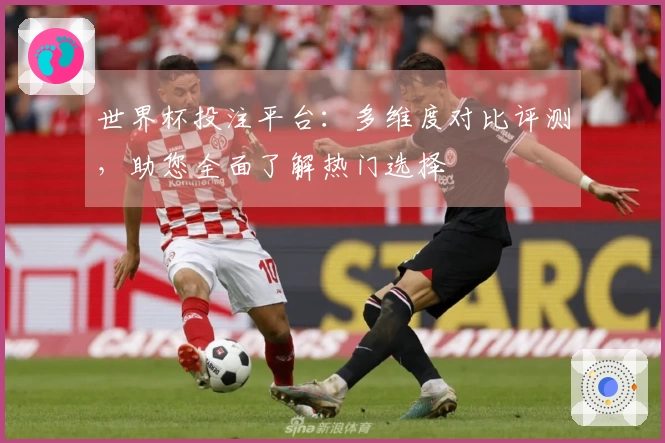 世界杯投注平台：多维度对比评测，助您全面了解热门选择