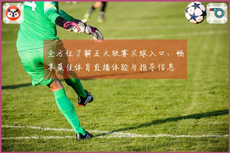 全方位了解五大联赛买球入口，畅享最佳体育直播体验与指导信息