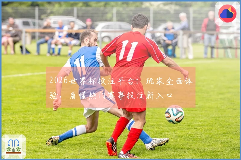 2026世界杯投注平台：玩家全面体验，看懂热门赛事投注新入口