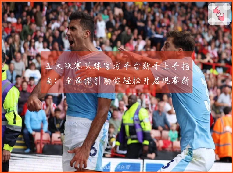 五大联赛买球官方平台新手上手指南：全面指引助你轻松开启观赛新体验