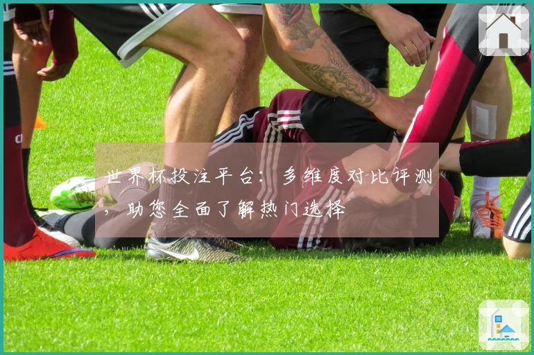 世界杯投注平台：多维度对比评测，助您全面了解热门选择